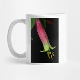 Red Correa Close Up Mug